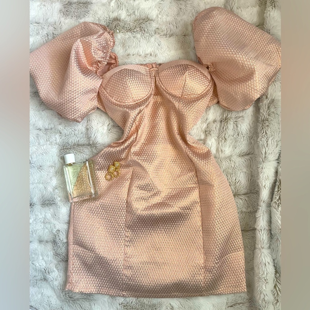 NWOT Haute Monde Mini Dress